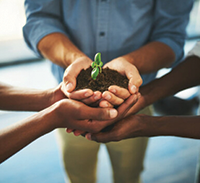 sustainability
